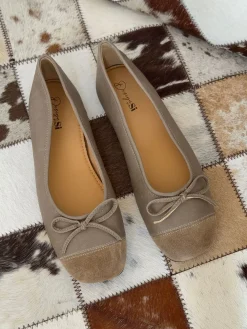 Elowia ballerina med sløjfe - Taupe
